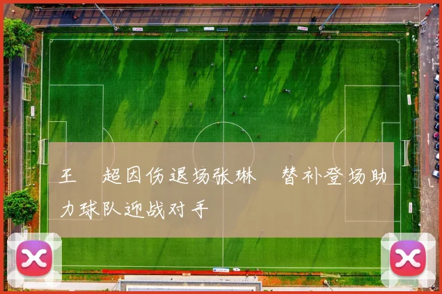 王燊超因伤退场张琳芃替补登场助力球队迎战对手