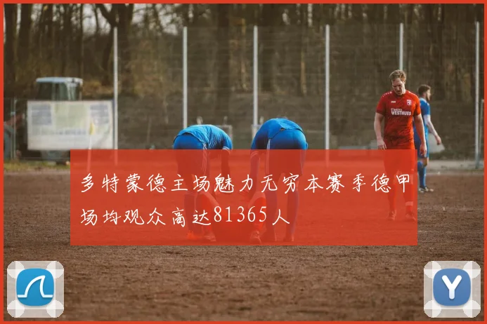 多特蒙德主场魅力无穷本赛季德甲场均观众高达81365人