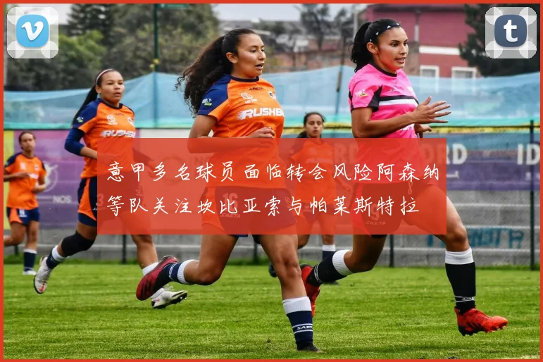 意甲多名球员面临转会风险阿森纳等队关注坎比亚索与帕莱斯特拉