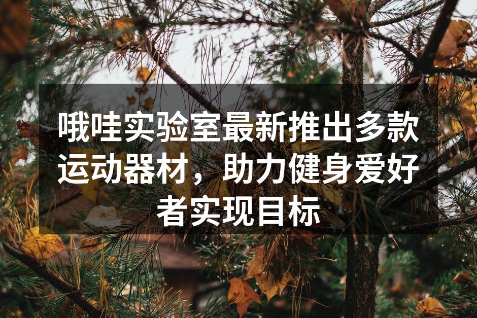 哦哇实验室新款智能哑铃